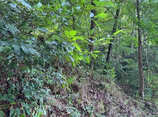 LOT 77 Fires Creek Rd, Hayesville, NC 28904