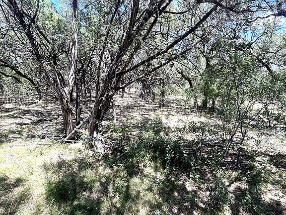 3rd image of 430 Fm 2748