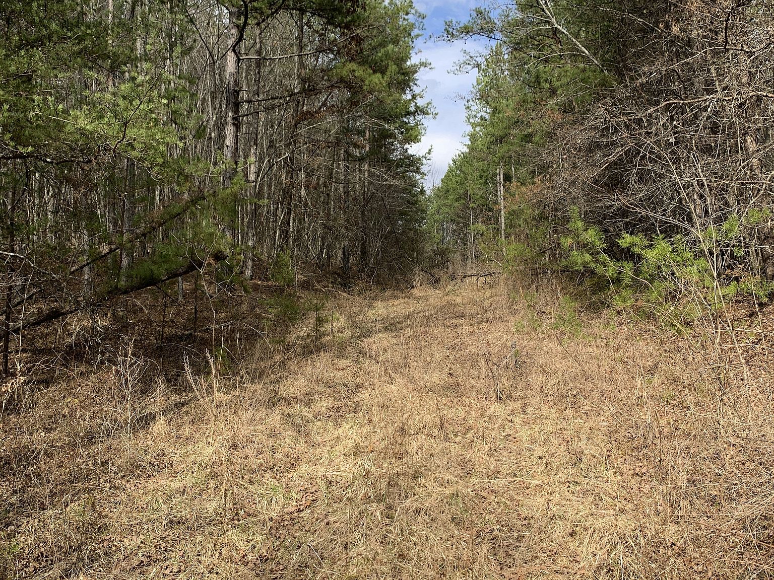 Coon Creek Rd, Sunbright, TN 37872 | MLS #11469865 | Zillow