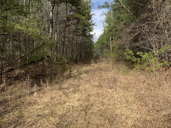Coon Creek Rd, Sunbright, TN 37872