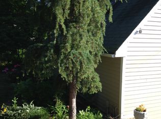 41 Oak St, Cohasset, MA 02025