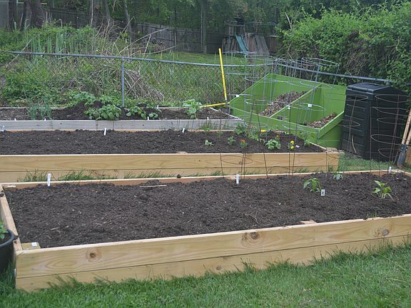 raised beds