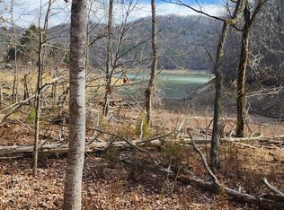 312 Bluff View Rd, New Tazewell, TN 37825