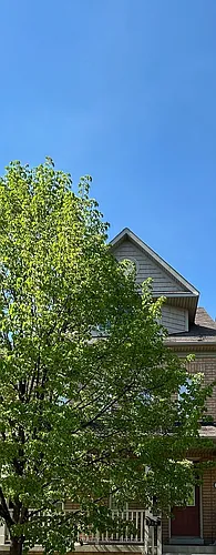306 Cook Rd Photo 1