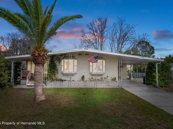 12317 Hallmark Ave, Brooksville, FL 34613