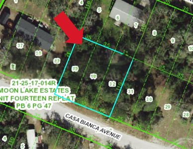 12905 Casa Bianca Ave #33, New Pt Richey, FL, 34654