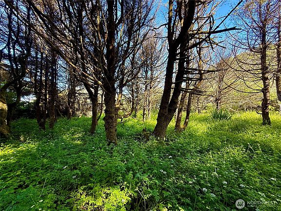 3rd image of 3 Roosevelt Beach Road