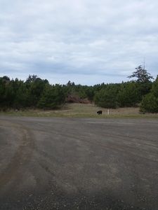 6285 NW Pacific Coast Hwy, Seal Rock, OR, 97376