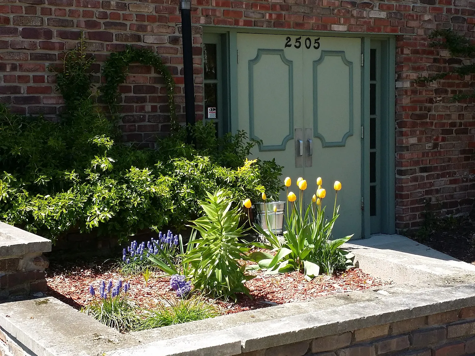 2 bed, 1.0 bath, $1,250 — Photo 1