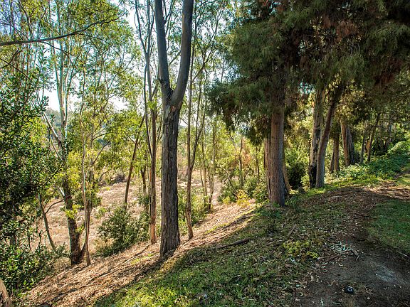 5th image of 9781 Caminito Del Marfil