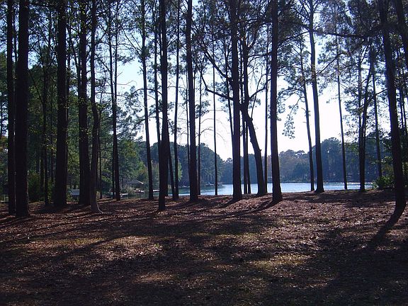 4th image of 105 Twelve Oaks Ln