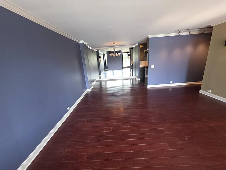 1555 N Sandburg Ter #305 — Photo 4