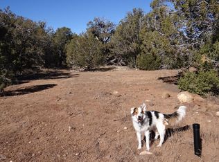 43701 N Moonshine Rd, Seligman, AZ 86337