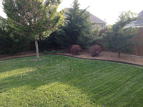 Landscaped Backyard