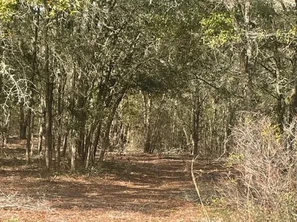 54 Southwest Trl, Jasper, FL 32052