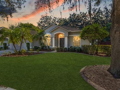 803 Red Ash Ct, Seffner, FL, 33584