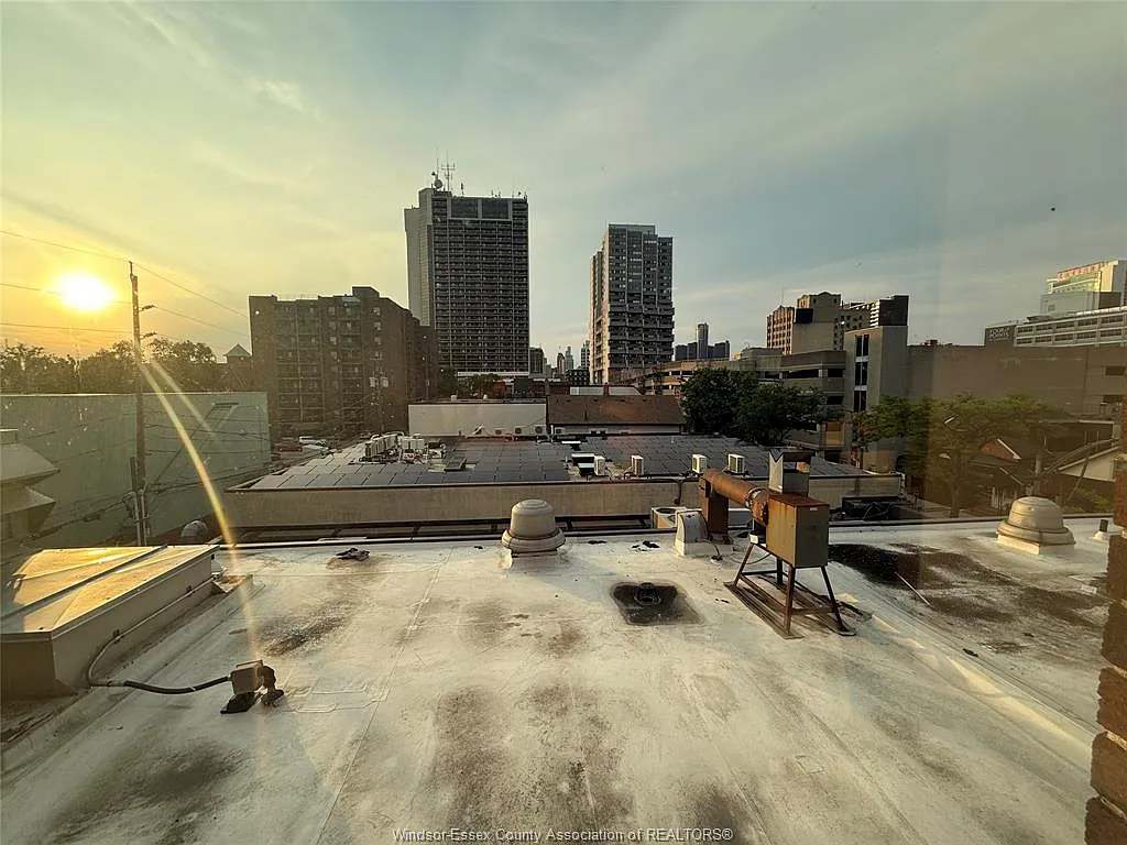 1 bed, $1,550 — Photo 2