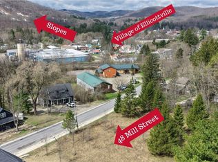 48 Mill St Lot 14, Ellicottville, NY 14731
