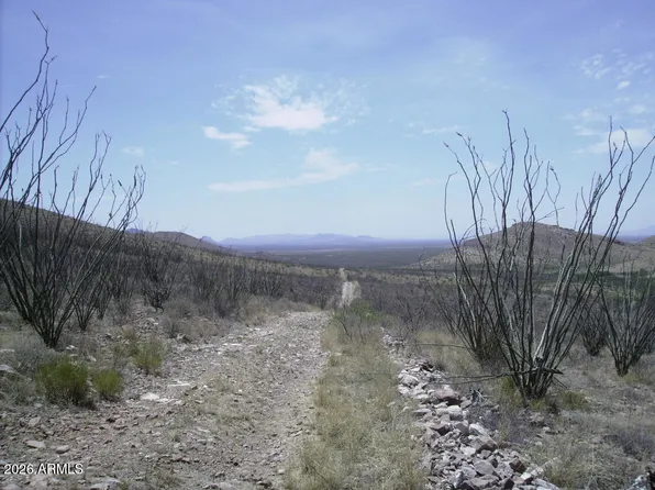 405-77-109 N Wilderness Trail #109, Douglas, AZ 85067