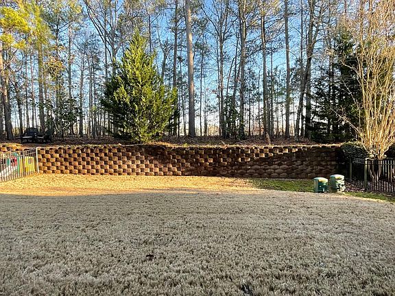 backyard 1