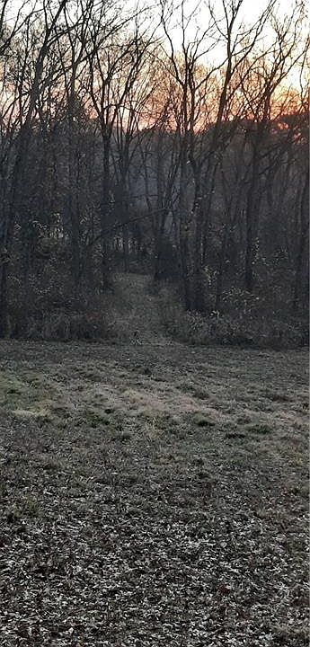 2nd image of 35604 400th St