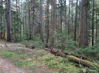 0 Cascade River Road, Concrete, WA 98267