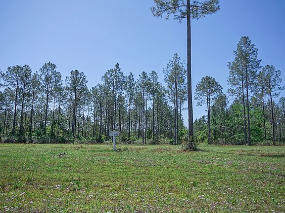 4th image of 9938 Kings Crossing Dr