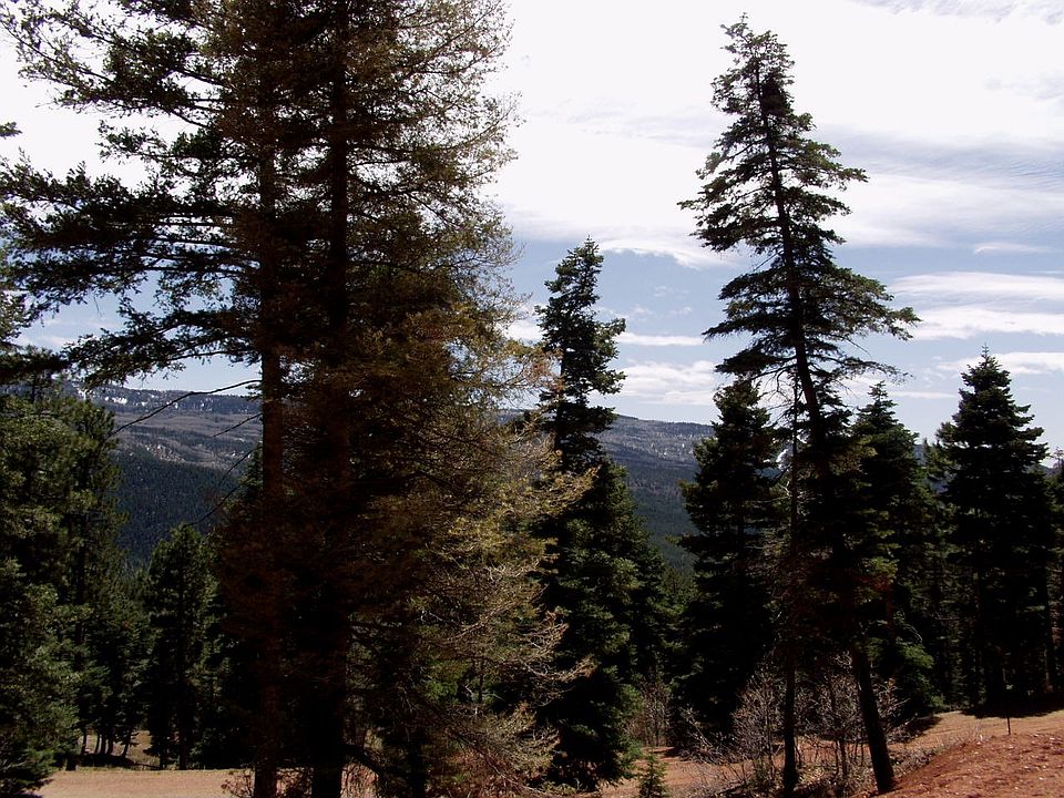 2nd image of Aspen Bluff Red Bluff Rd #3
