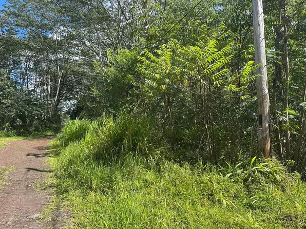 Tiki Rd Lot 40, Kurtistown, HI 96760