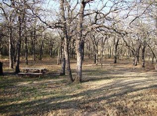 310 Joy Trl, Paradise, TX 76073