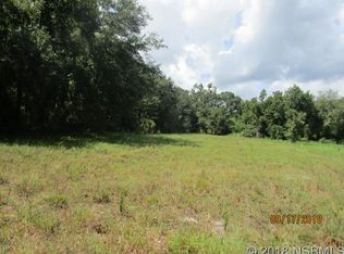 Maytown Rd, Oak Hill, FL 32759