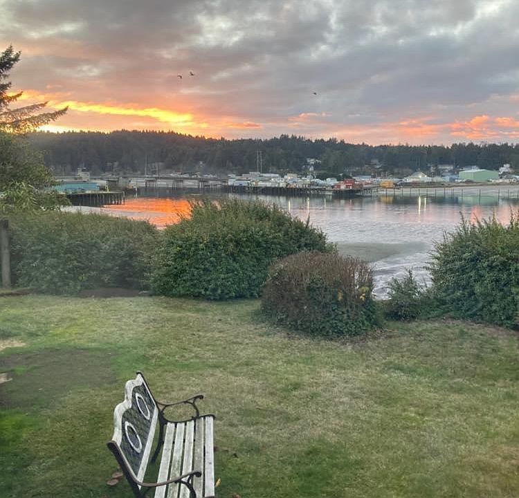 Another gorgeous day, view from patio