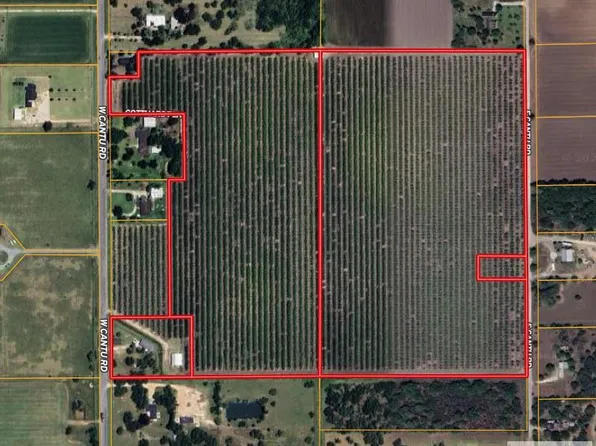 0 W Cantu Rd, Santa Rosa, TX 78593