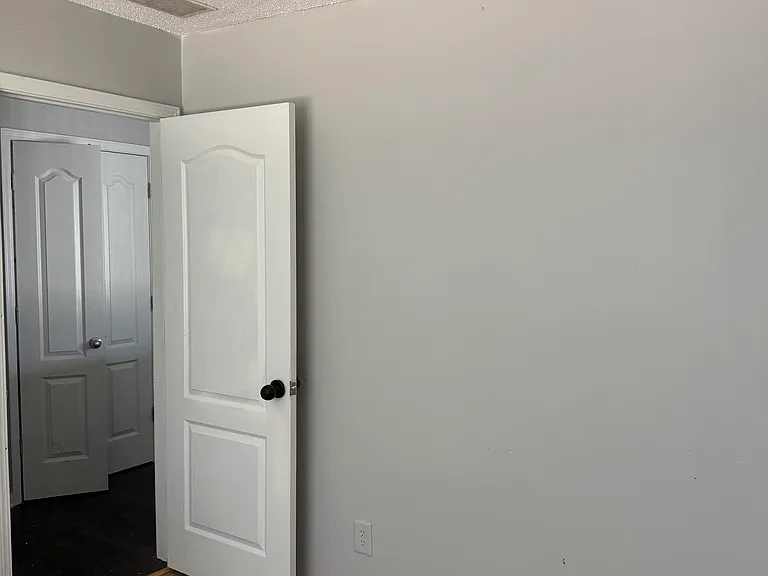 313 Dublin Way — Photo 29