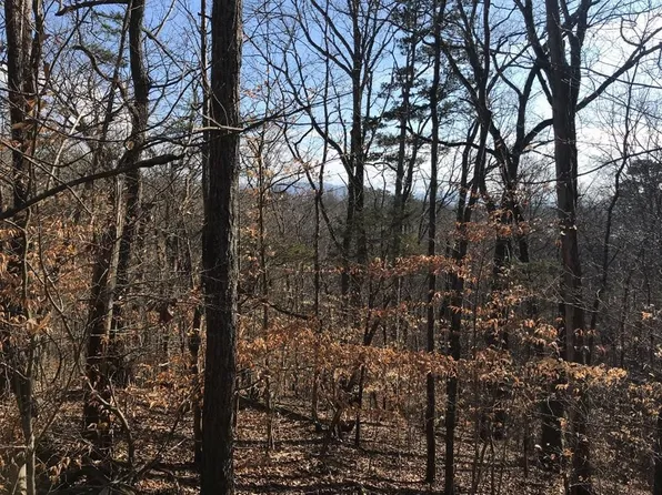 LOT 838 Iron Gate Dr, White Pine, TN 37890