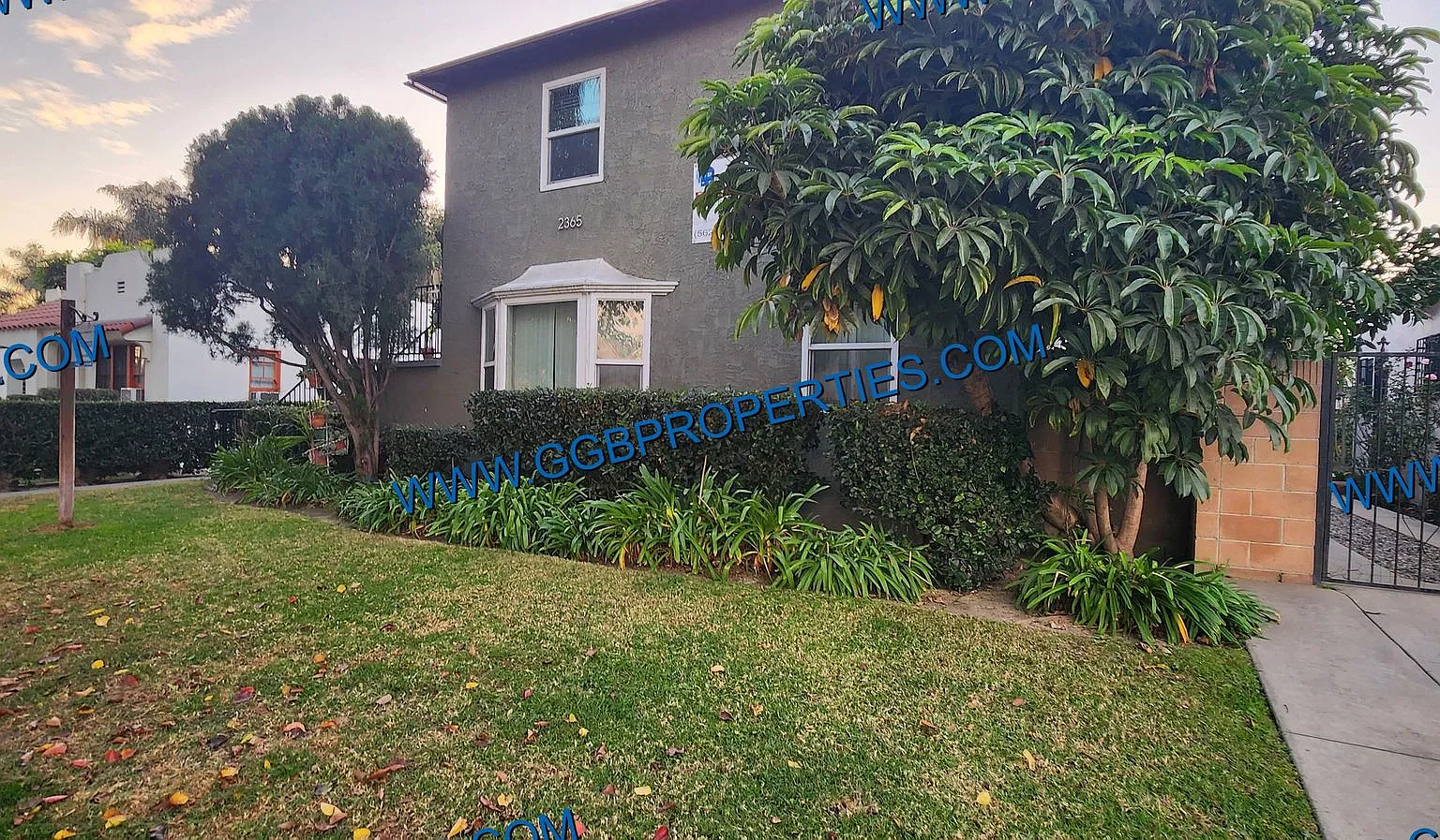 2365-71 Eucalyptus — Photo 1