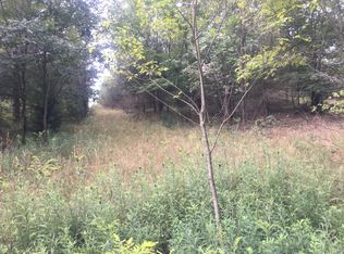 V/l W Pierce Rd, Shelby, MI 49455