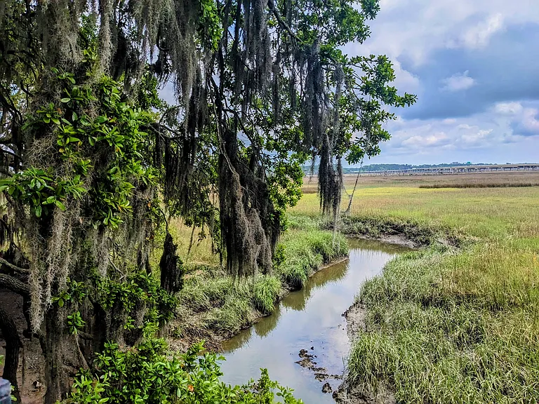 Marsh Cove — Photo 11