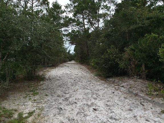 Horseback riding trails