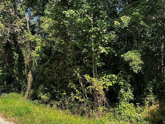 3rd image of 106 Indian Creek Cir