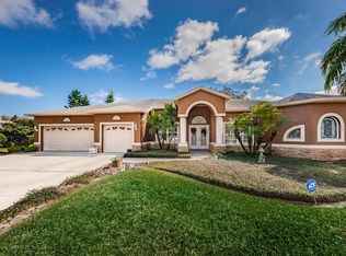 13744 Dowling Ln, Odessa, FL 33556