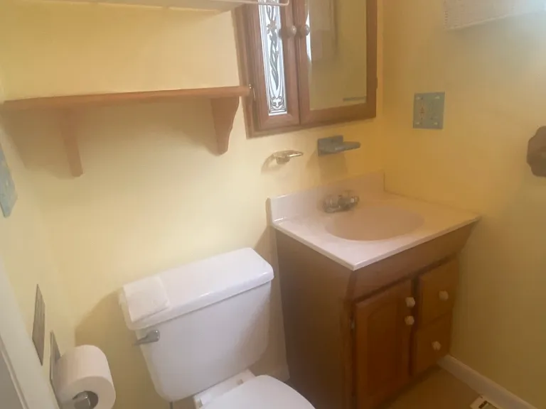 Full bathroom toilet, vanity sink, shower