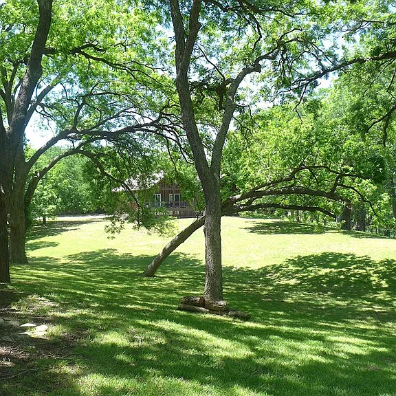 156 Verde Park Blvd — Photo 22