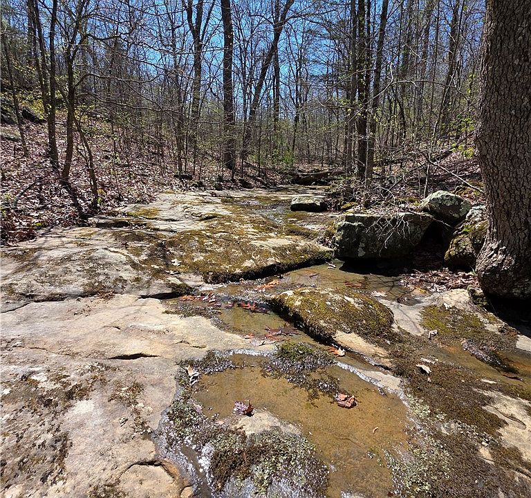 40th image of this home