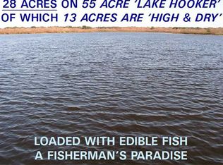 955 E Dr Martin Luther King Jr Blvd, Seffner, FL 33584