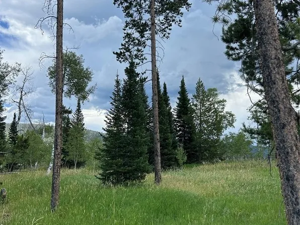 TBD Halter Trail, Oak Creek, CO 80467
