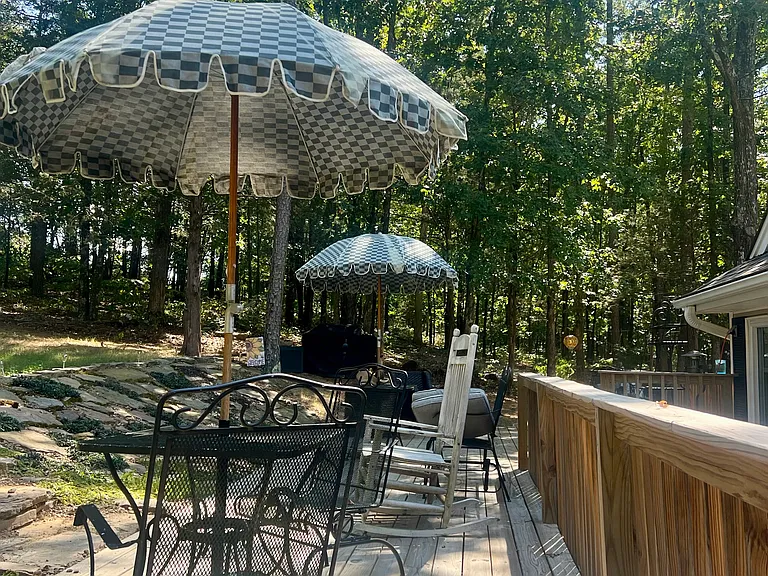 315 Mountain Ranch Dr — Photo 11