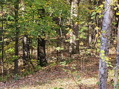 Lot 65 Church Street, Brownville, ME, 04414