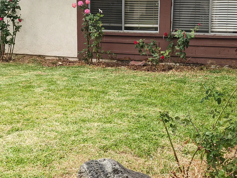 919 Milane Ln — Photo 2