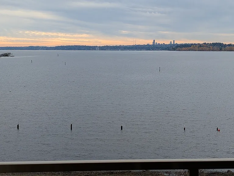 Amazing wildlife show out your window (Eagles raising eaglets teaching them to fish, Seahawks dive bombing into water, Turtles basking in the sun and laying eggs, Fish jumping out of water at dusk, otters playing, and migrating Swans. What will you see?